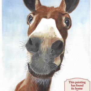 Donkey