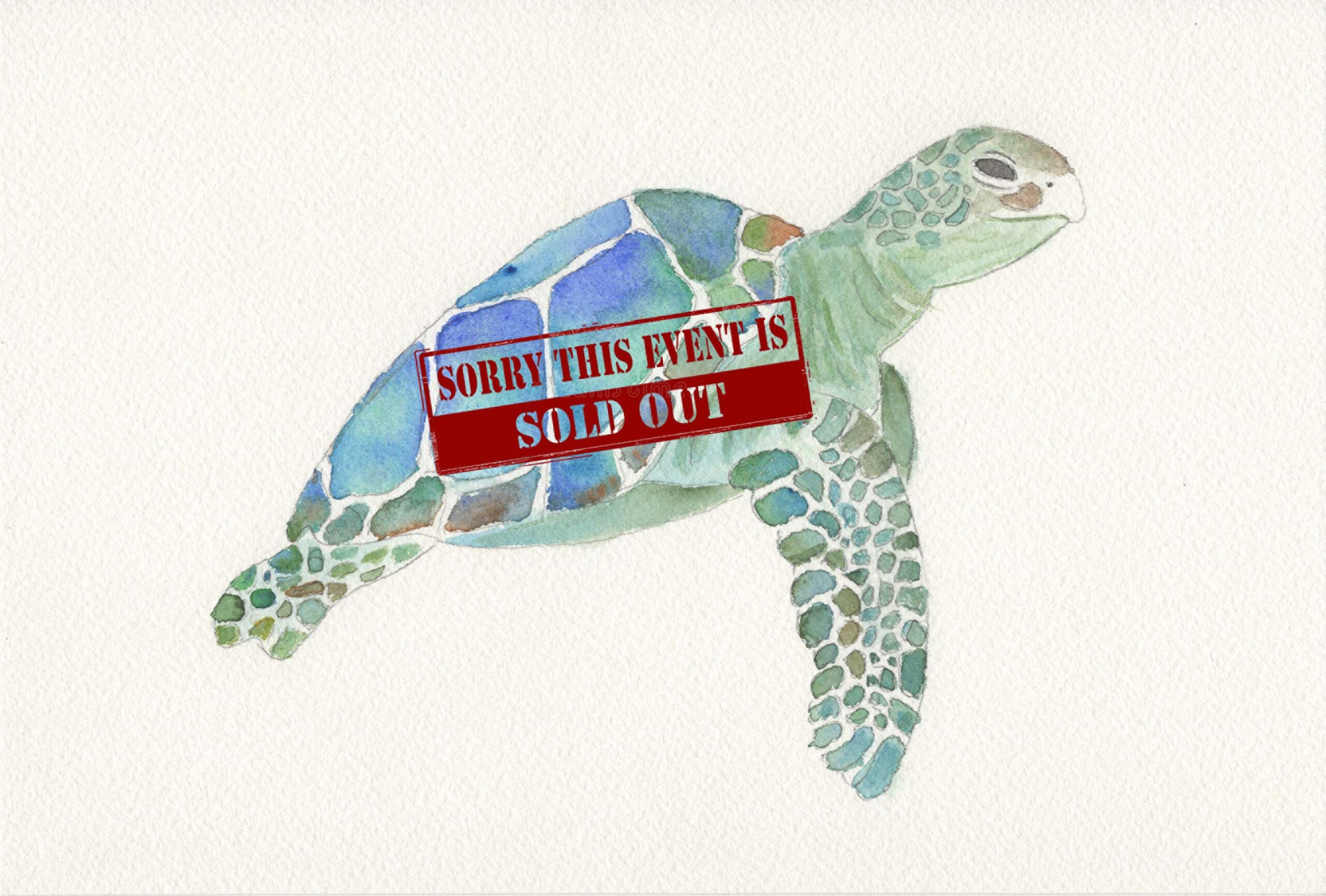 Vibrant Sea Turtle Watercolor Class