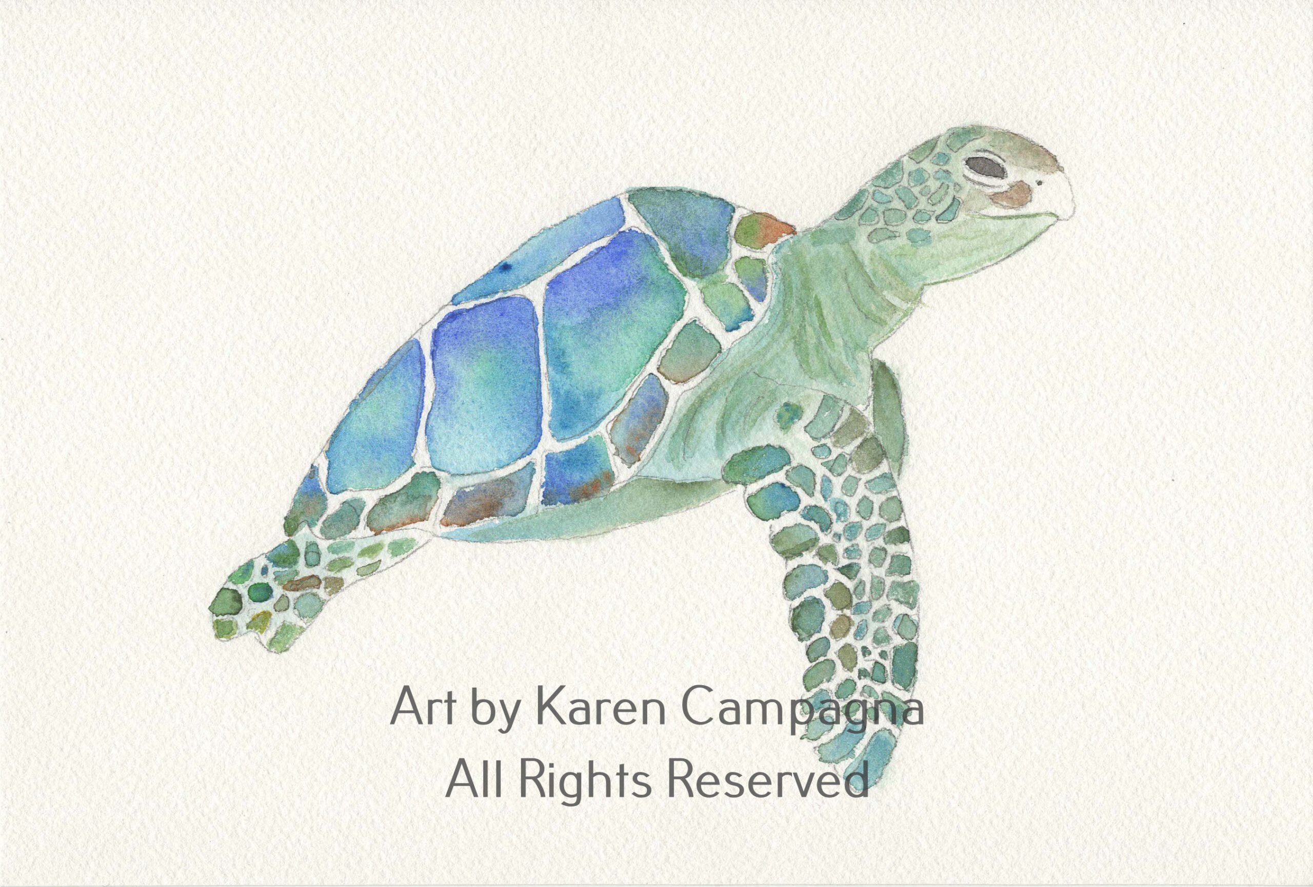 Vibrant Sea Turtle Watercolor Class