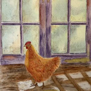 Penny the chicken