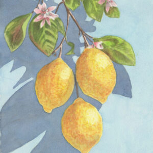 Lemons