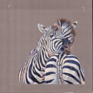 Two zebras